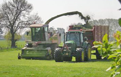 tractor tractor